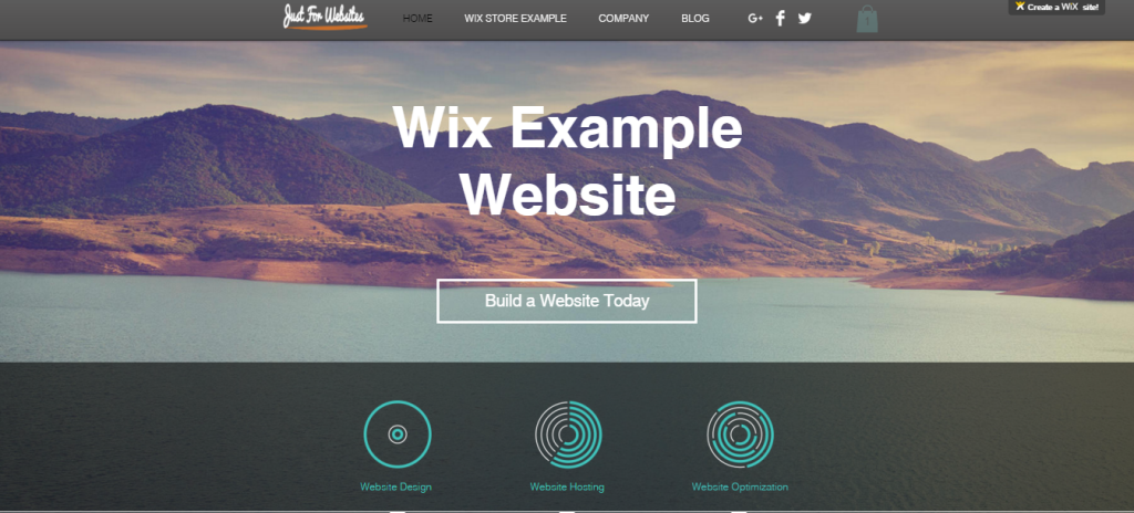 wix-review-example-website